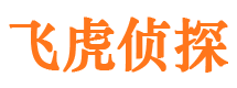 武山市调查公司